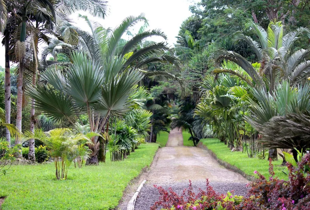 Tropical Island Apartahotel La Viva Guest house